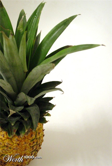 Photography by mysterio