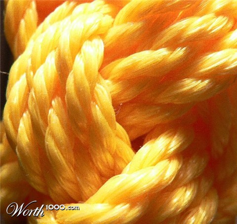 Photography by pegsguy