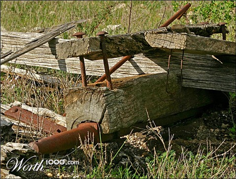 Photography by smylie