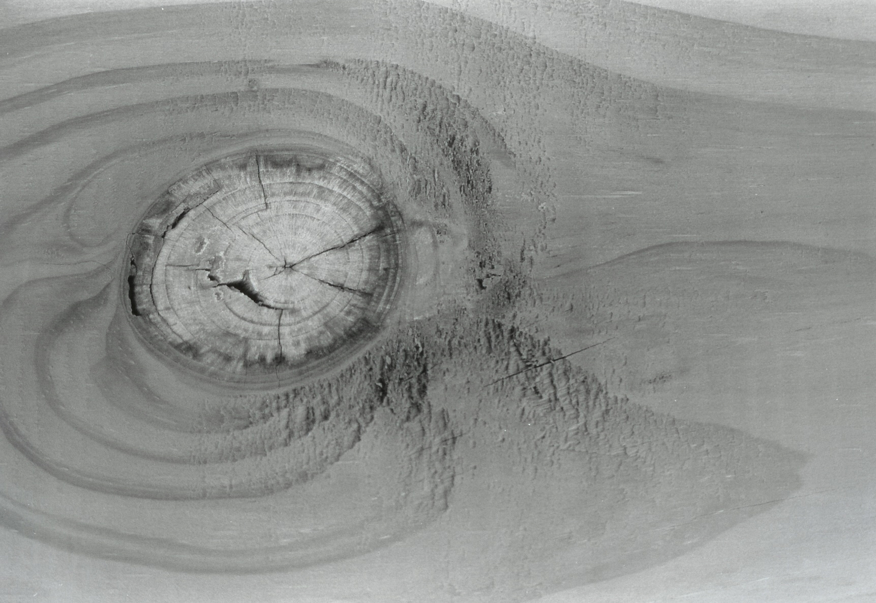 Photography by KCBroadway for DesignCrowd (Community Contests) | Design #9090182