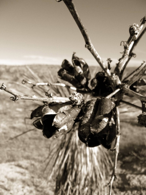 Fotografie von Bas1982 für DesignCrowd (Community Contests) | Design #9070596