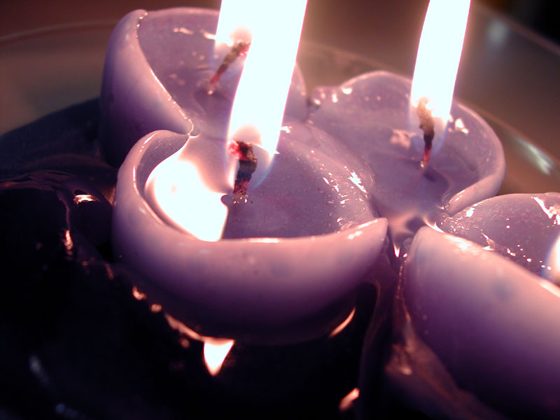 Fotografía por AniaBo para DesignCrowd (Community Contests) | Diseño #9090108