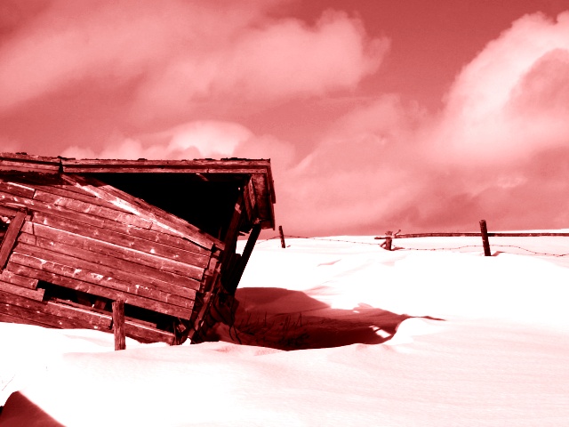 Photography by KarenC for DesignCrowd (Community Contests) | Design #9070509