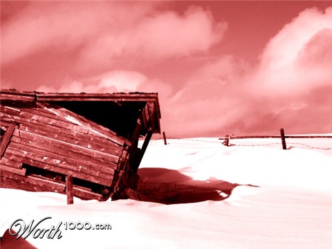 Photography by KarenC