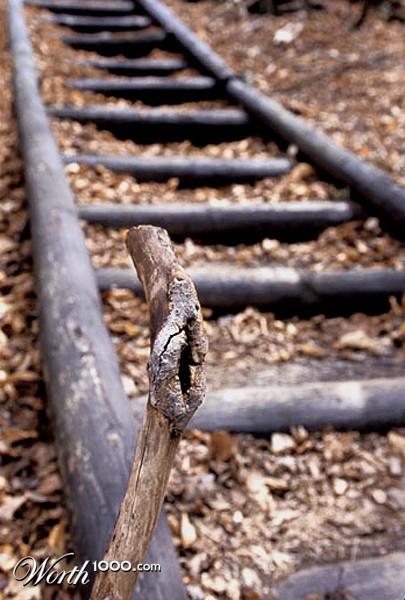 Photography by radamarin