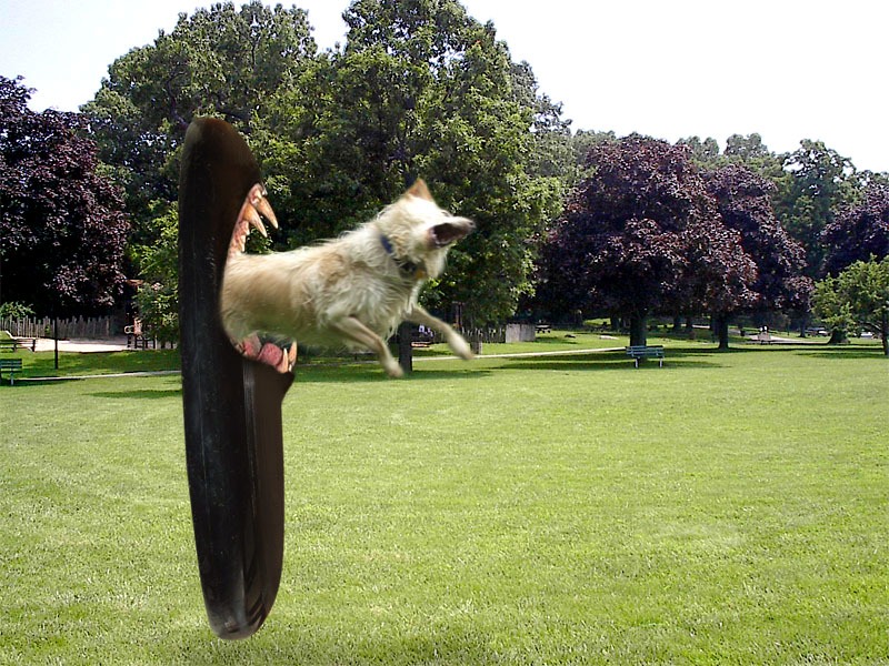 Photoshop Design by godzillatemple for DesignCrowd (Community Contests) | Design #9072478