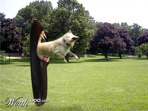 Photoshop Design by godzillatemple