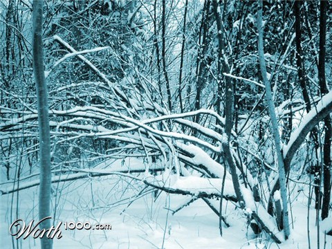 Photography by niibiishan