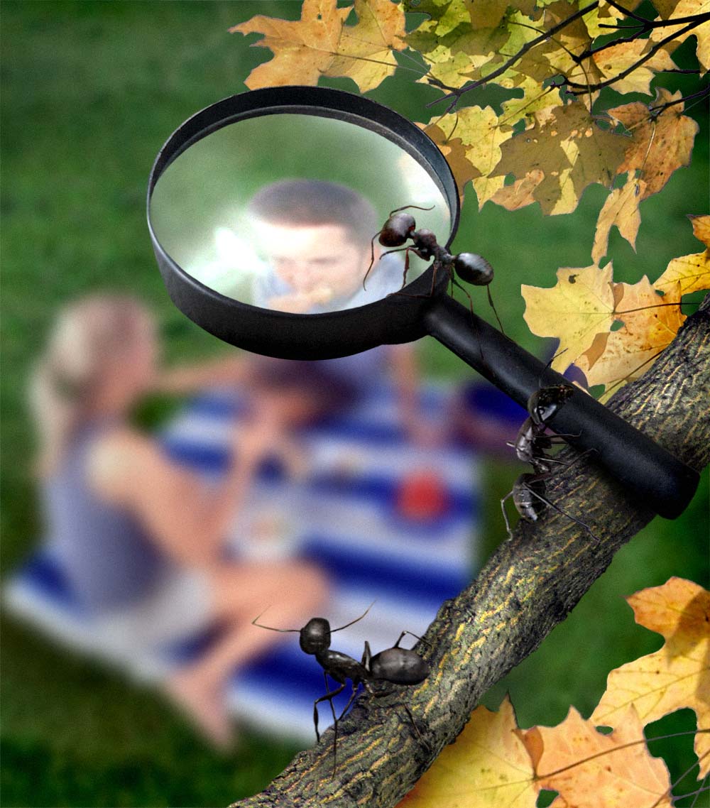 Photoshop-Design von TBA für DesignCrowd (Community Contests) | Design #9072475