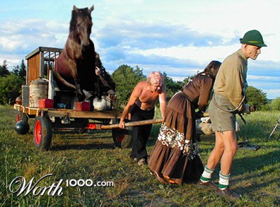 Photoshop Design by lilhorseebabee