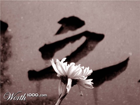 Photography by EmilBanck