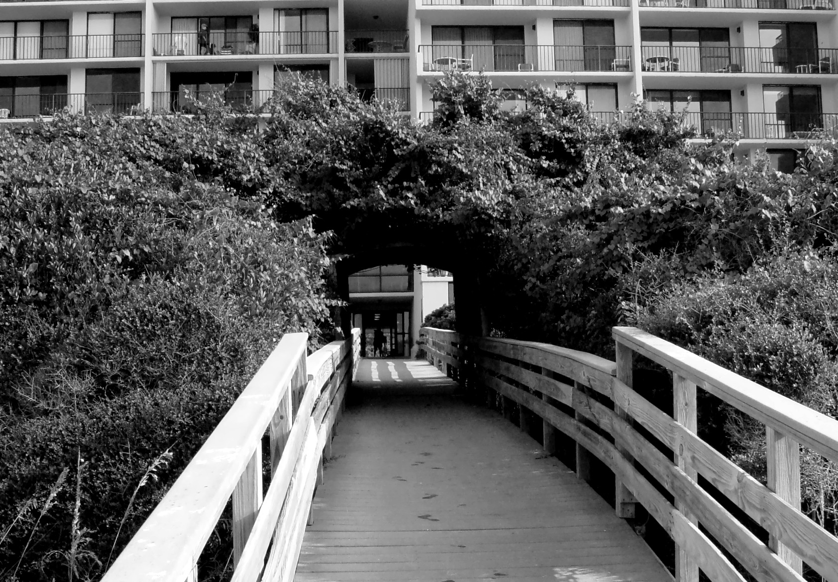 Photographie par modine pour DesignCrowd (Community Contests) | Design #9082902