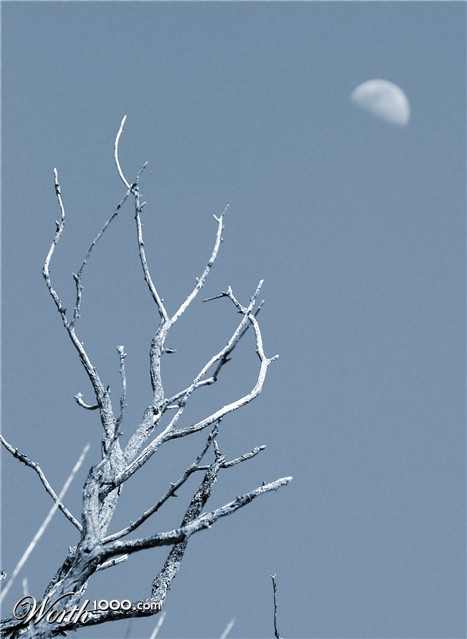 Photography by intokkabire