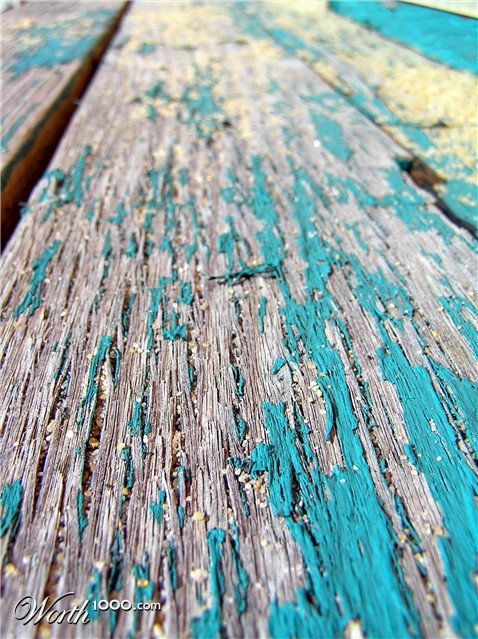 Photography by virtualstrauss