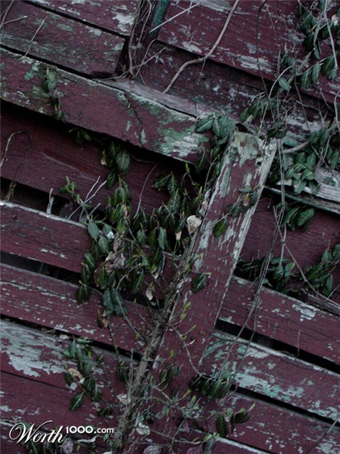 Photography by SydneySett