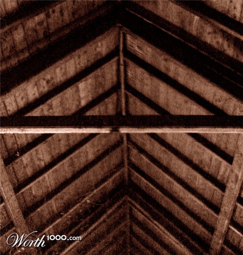 Photography by Budmulla