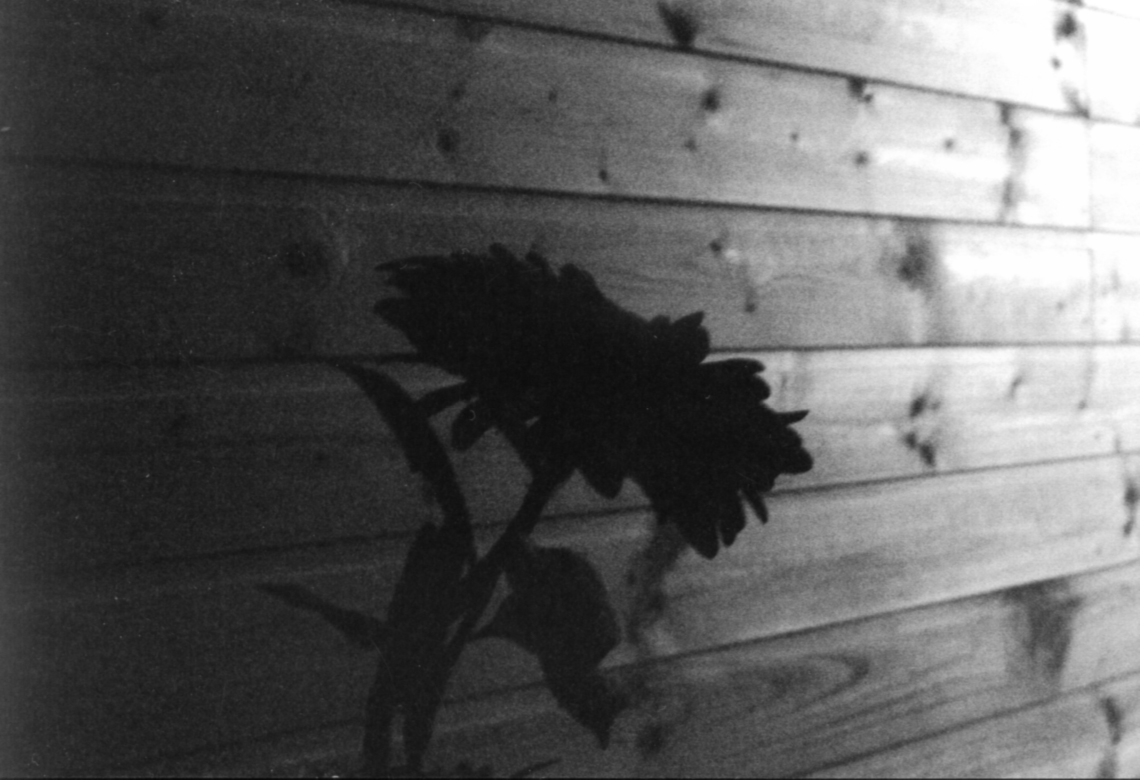 Photography by funcky for DesignCrowd (Community Contests) | Design #9090202