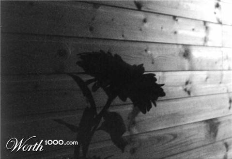 Photography by funcky