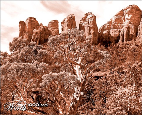 Photography by TampaDroid