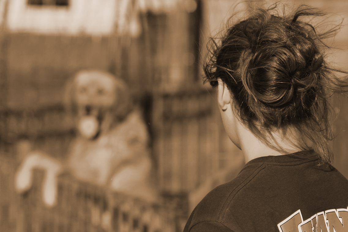 Photography by lostegg for DesignCrowd (Community Contests) | Design #9070618