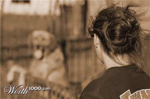 Photography by lostegg