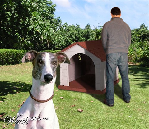 Photoshop Design by hlrossano