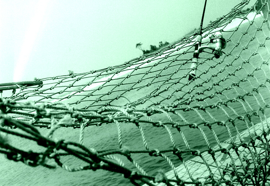 Fotografie von Barnaclese für DesignCrowd (Community Contests) | Design #9082891