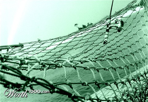 Photography by Barnaclese