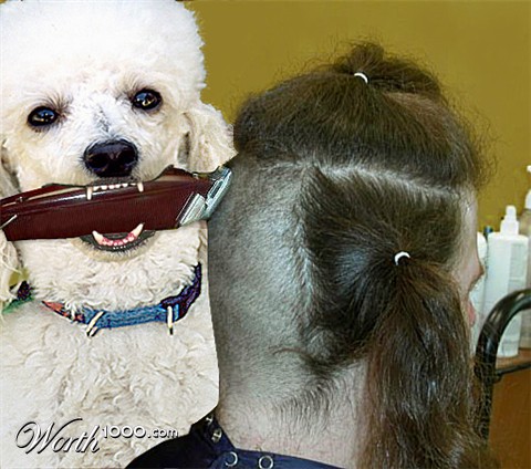 Photoshop Design by StrangeWorld