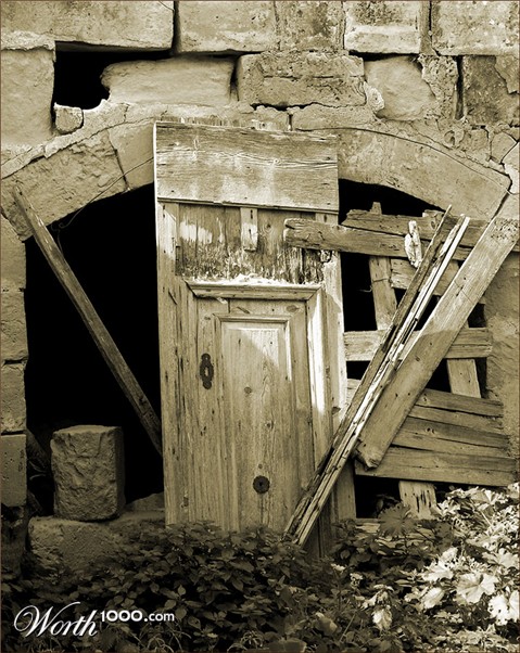 Photography by artissa