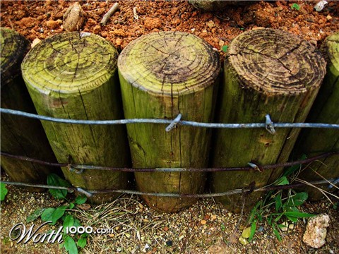 Photography by notmyrealnametoo