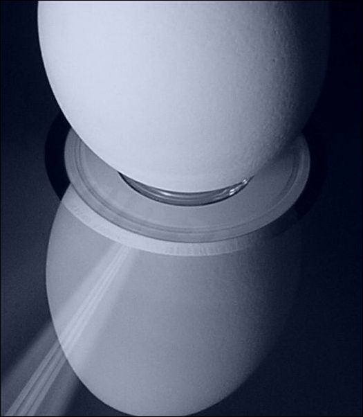 Photographie par Jethrolutt pour DesignCrowd (Community Contests) | Design #9085399