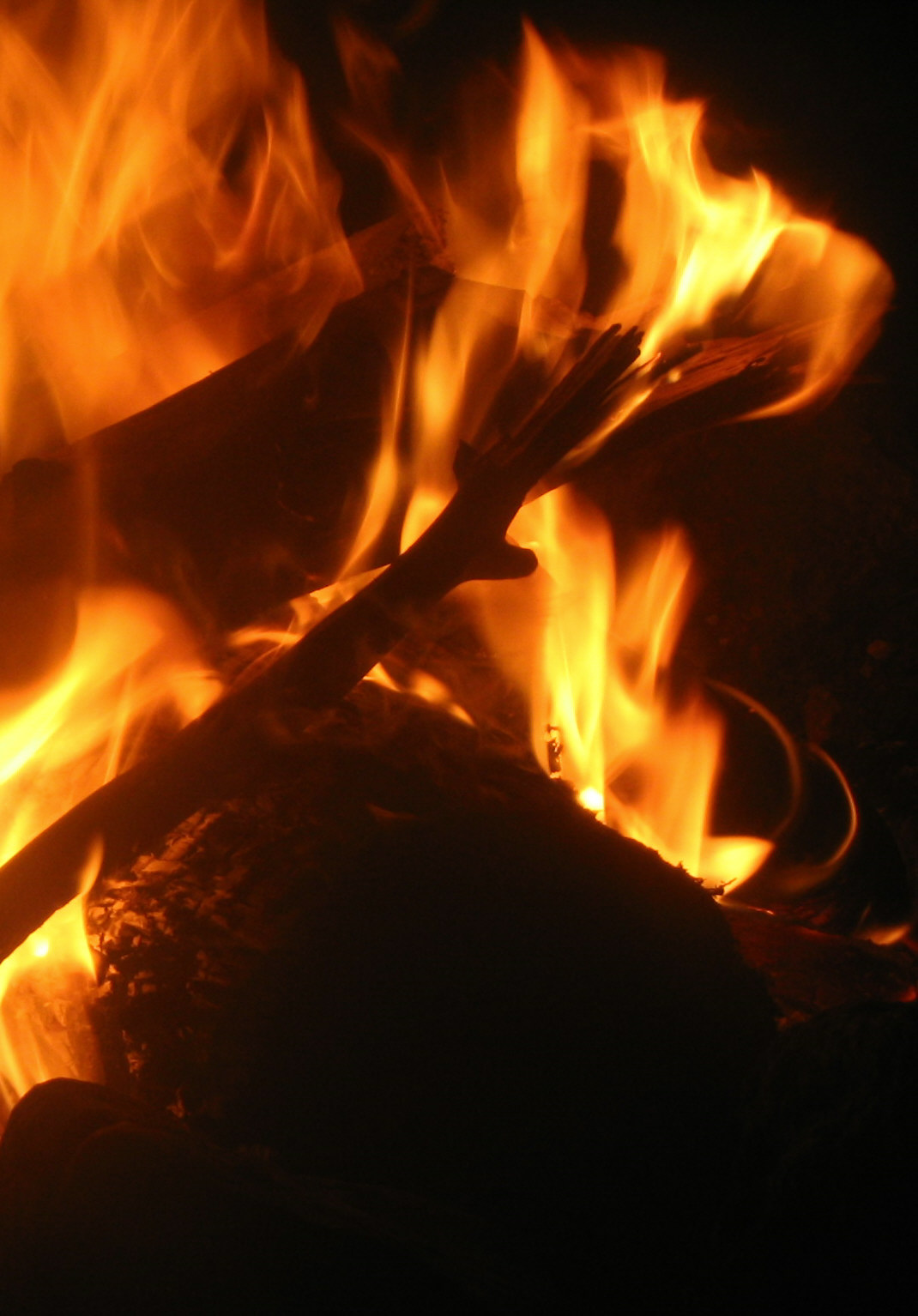 Fotografía por ivanico para DesignCrowd (Community Contests) | Diseño #9090208