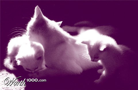 Photography by clloyd