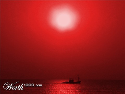 Photography by mushimushi