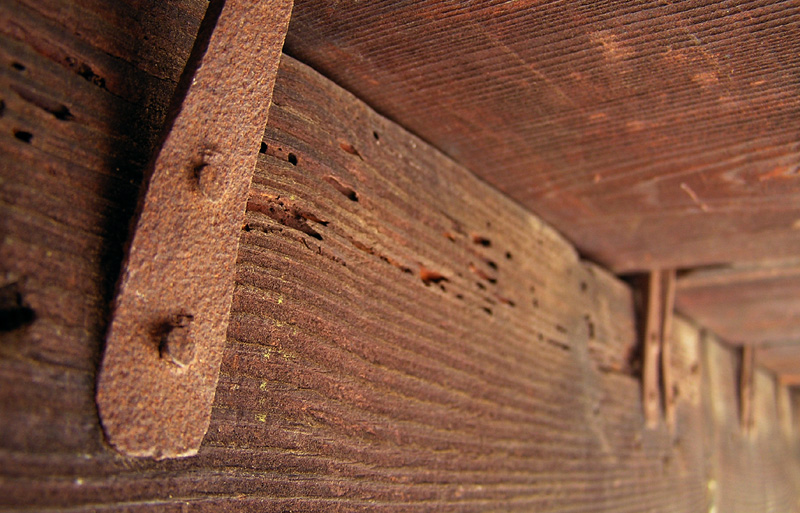 Photography by Vinnied for DesignCrowd (Community Contests) | Design #9090204