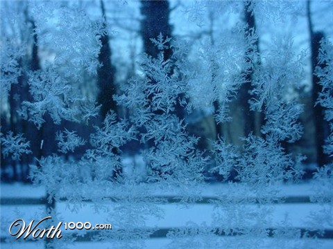 Photography by tweetybirdfan222