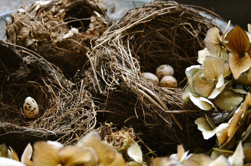 Fotografía por Marian para DesignCrowd (Community Contests) | Diseño #9085426