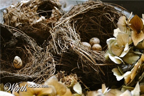 Photography by Marian