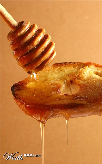 Photography by bozosafari