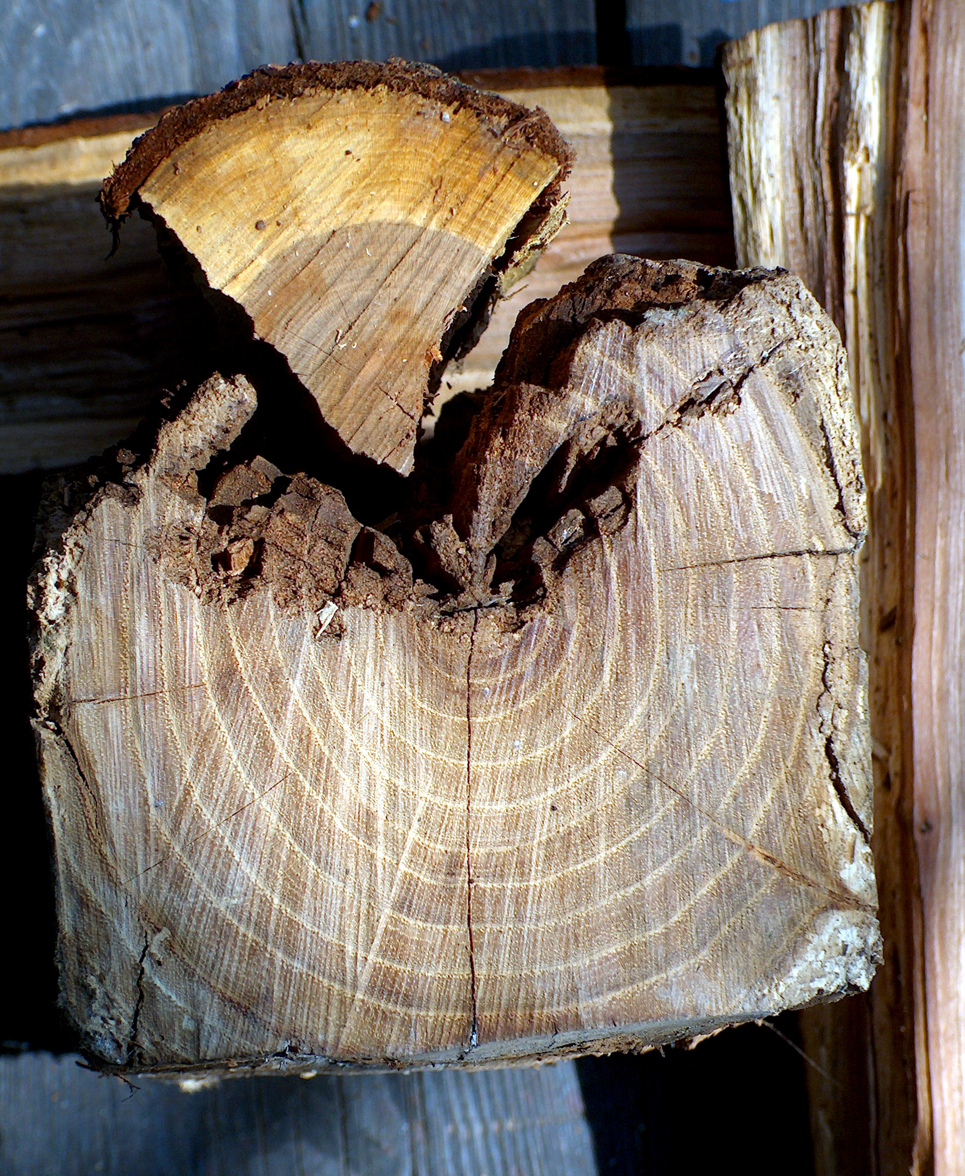 Fotografie von Xported für DesignCrowd (Community Contests) | Design #9090247