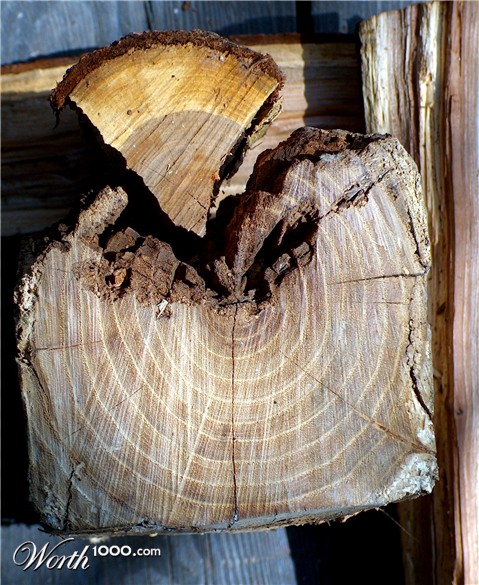 Photography by Xported