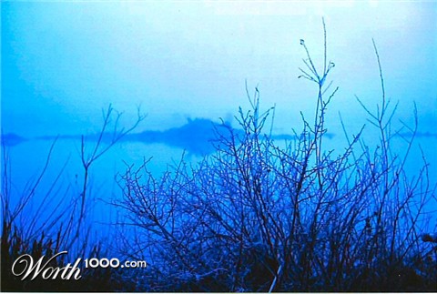 Photography by icanimagine