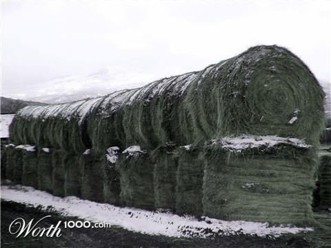 Photography by mmc9496