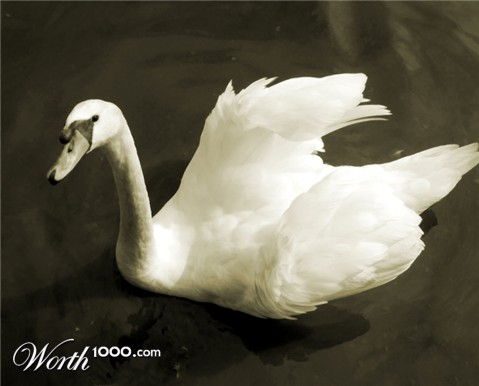 Photography by TheTamedShrew
