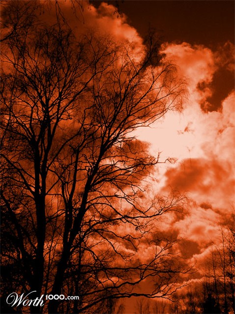 Photography by aih