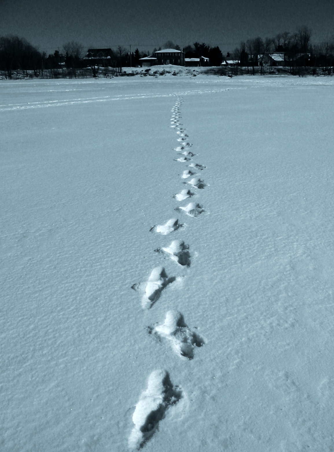 Photography by michelp for DesignCrowd (Community Contests) | Design #9082998