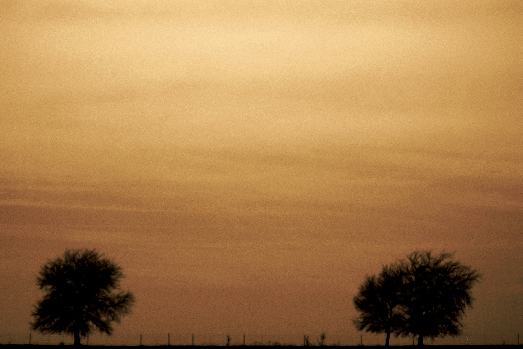 Fotografie von Dallas_TX für DesignCrowd (Community Contests) | Design #9082965