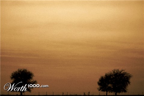 Photography by Dallas_TX
