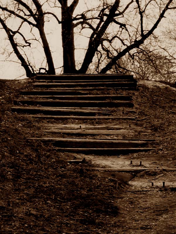 Photography by bareeska for DesignCrowd (Community Contests) | Design #9083051